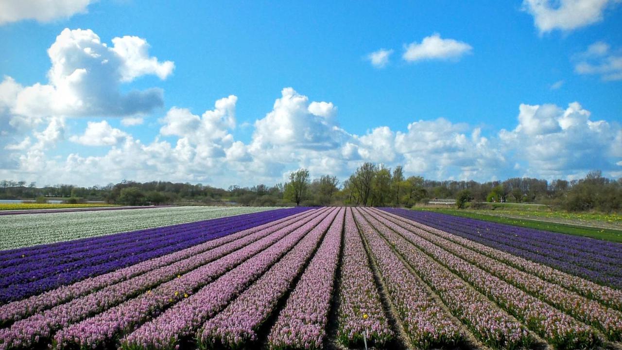 B&B Het Ruime Sop Wassenaar Exteriér fotografie
